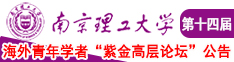 逼逼插插男女南京理工大学第十四届海外青年学者紫金论坛诚邀海内外英才！